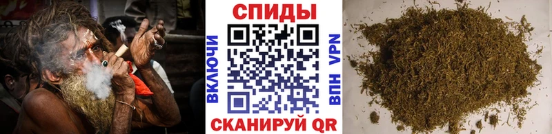цены   Дубовка  Бутират Butirat 