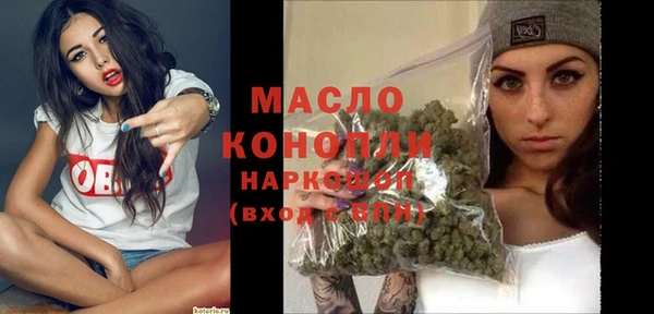 индика Вязники