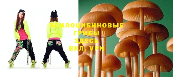 индика Вязники
