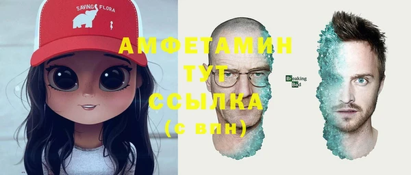 индика Вязники