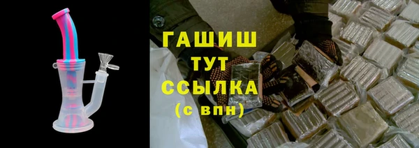 стаф Горняк