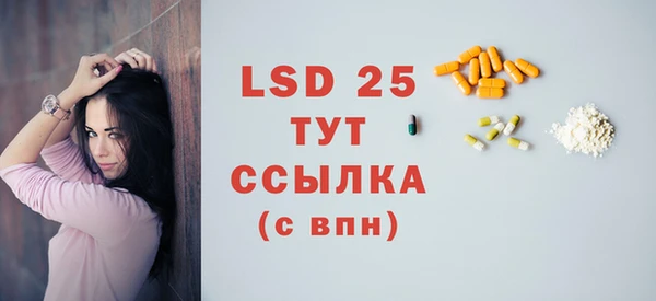 индика Вязники