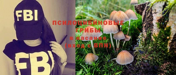героин Вяземский