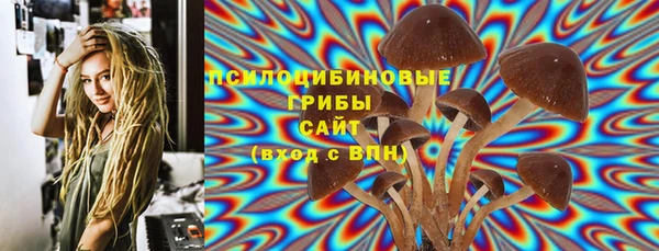 индика Вязники