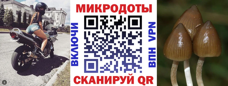 Галлюциногенные грибы Magic Shrooms  Дубовка 